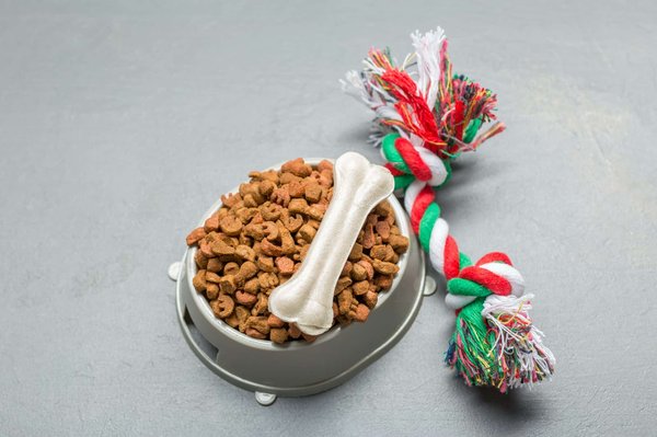 Découvrez les meilleures marques de croquettes pour votre Doberman !