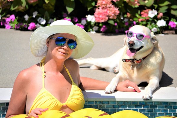 Accessoires pour animaux de compagnie : le confort au quotidien